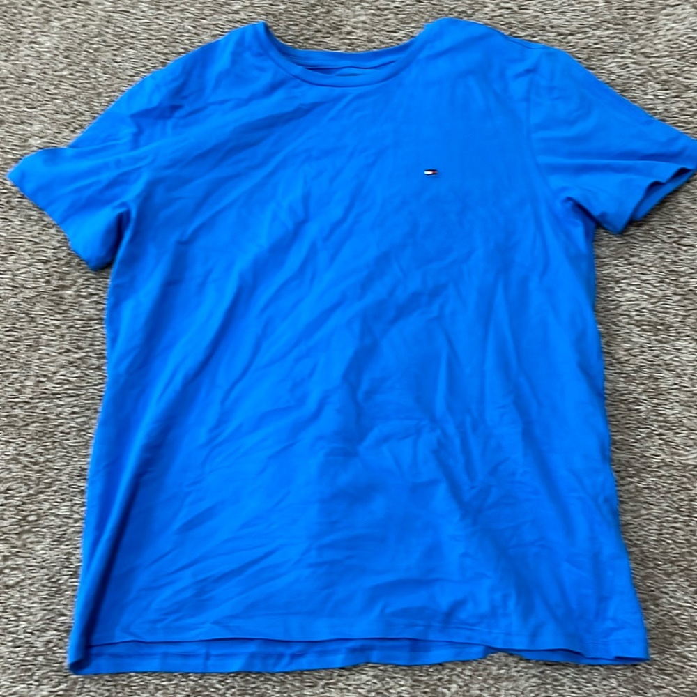 Blue Tommy Hilfiger T-Shirt